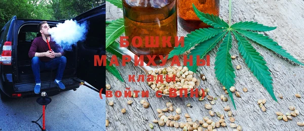 молекула духа Алексин