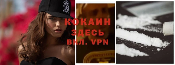 молекула духа Алексин
