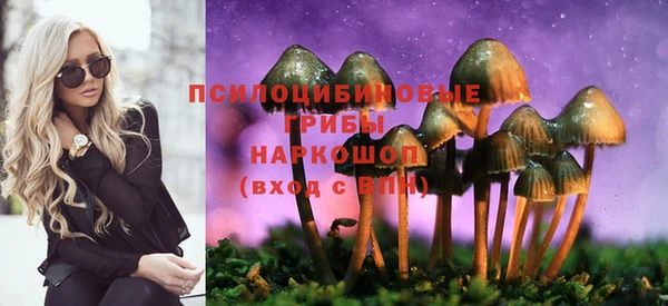 молекула духа Алексин