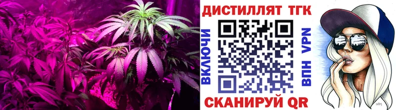 ТГК вейп с тгк  Дмитриев 